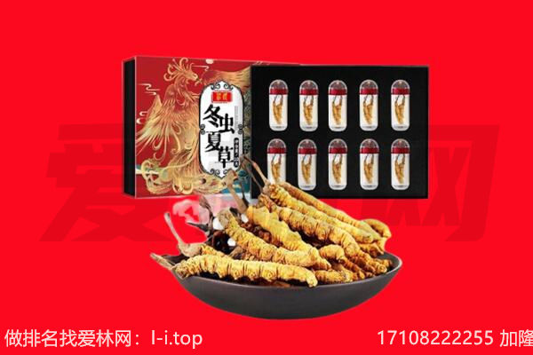 庆城县回收虫草.jpg